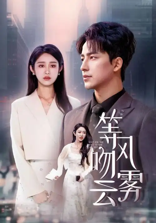 迷雾档案局 热播电视剧全集